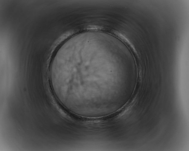 X0000086770721200705041507