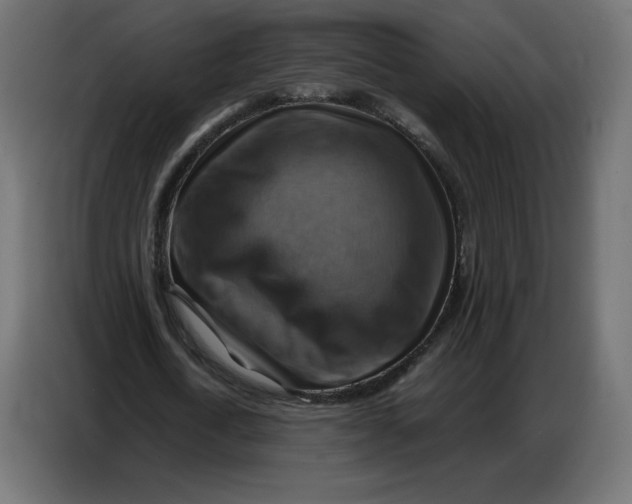 X0000086770722200705041507