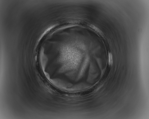 X0000086770723200705041507