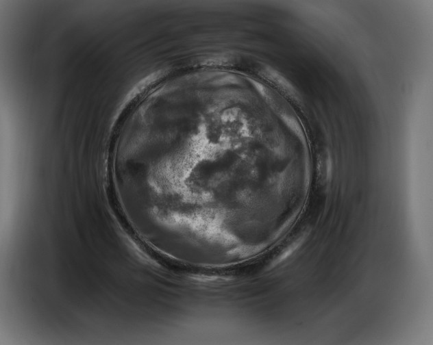 X0000086770725200705041507