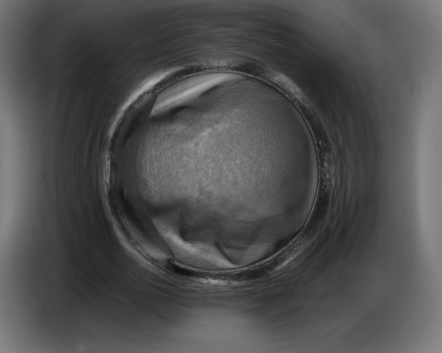 X0000086770726200705041507