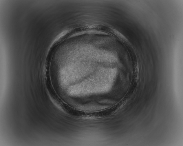 X0000086770730200705041507