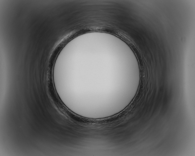 X0000086770732200705041507