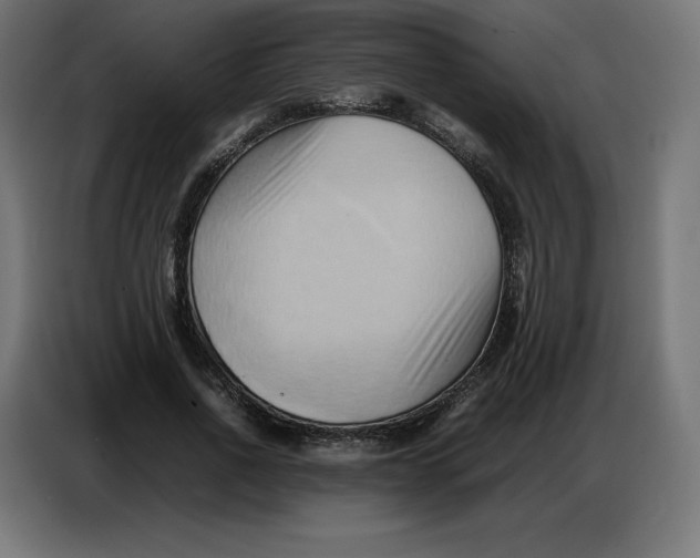 X0000086770734200705041507