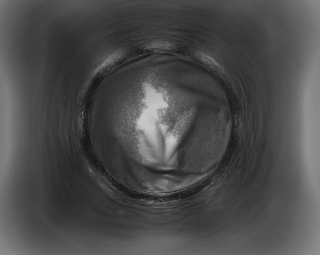 X0000086770735200705041507