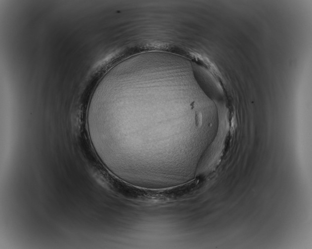 X0000086770736200705041507