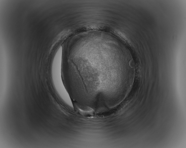 X0000086770738200705041507