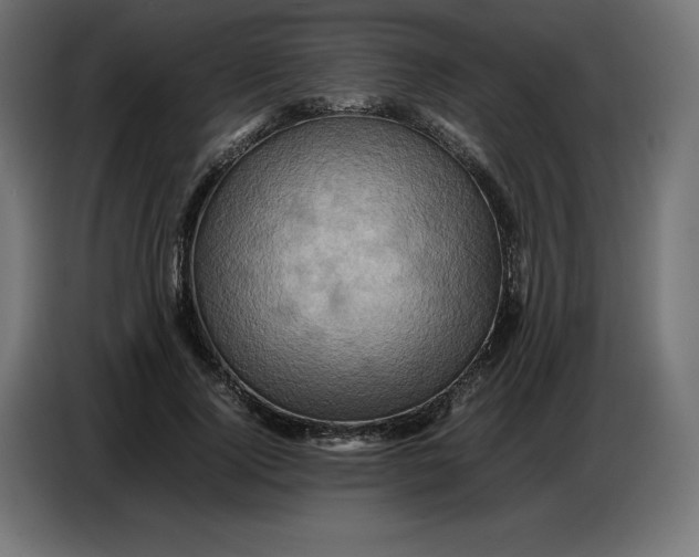 X0000086770740200705041507