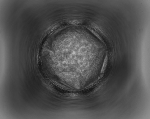 X0000086770741200705041507