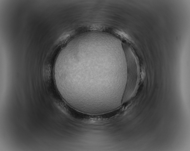 X0000086770744200705041507