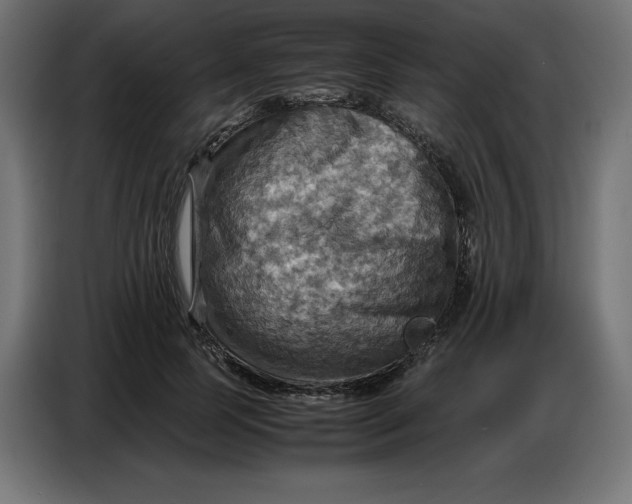 X0000086770745200705041507