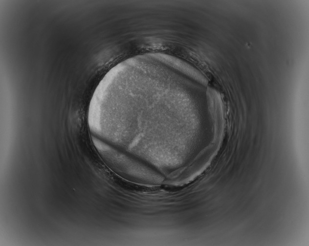 X0000086770747200705041508