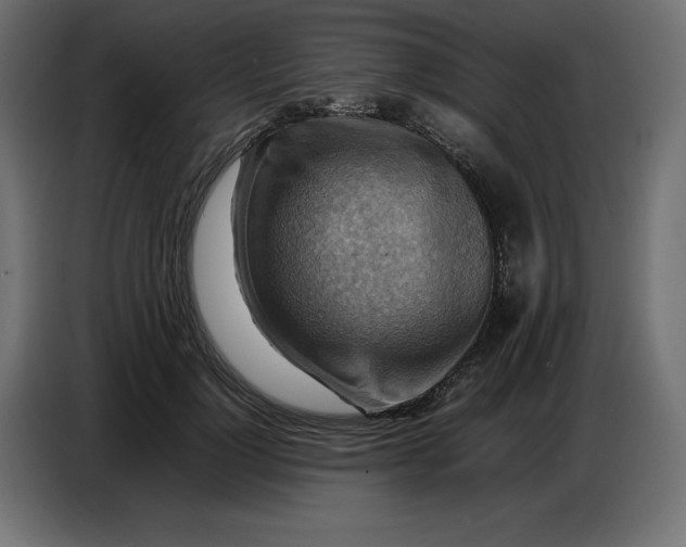 X0000086770748200705041508
