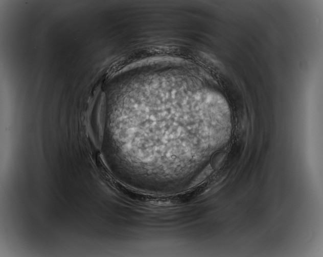 X0000086770749200705041508