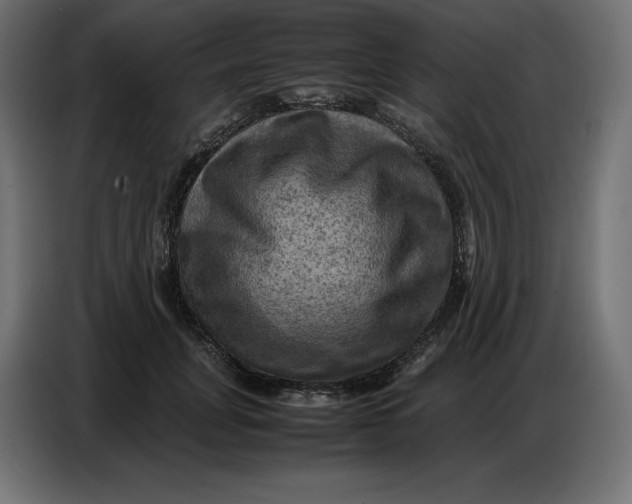 X0000086770751200705041508