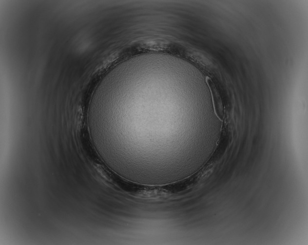 X0000086770752200705041508