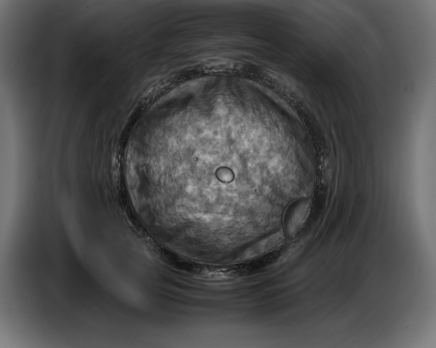 X0000086770753200705041508