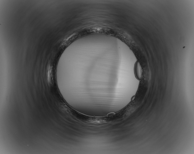 X0000086770754200705041508