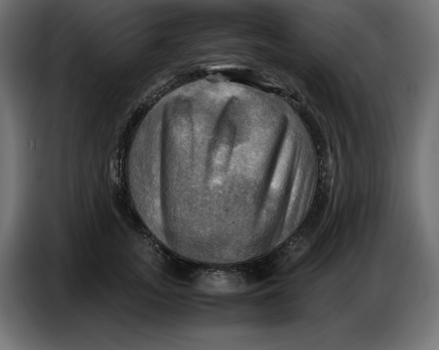 X0000086770755200705041508