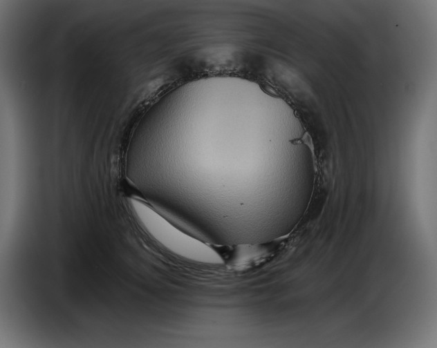 X0000086770756200705041508