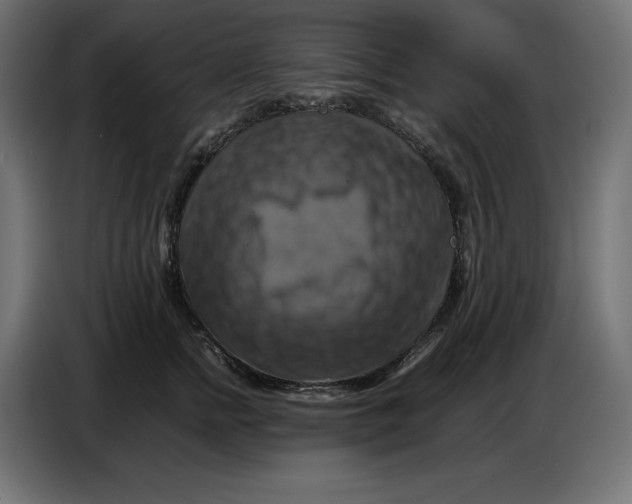 X0000086770758200705041508