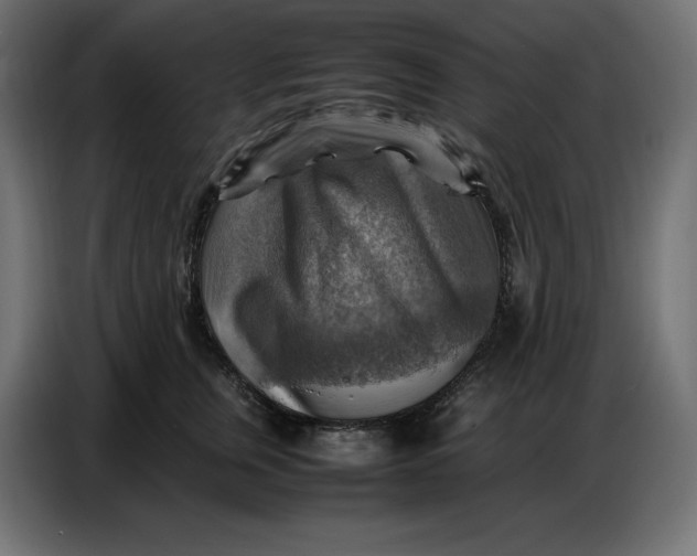 X0000086770759200705041508