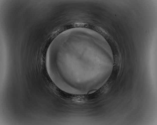 X0000086770761200705041508