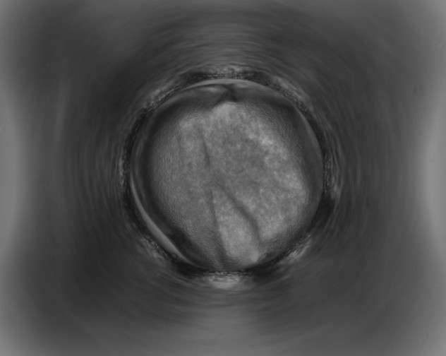X0000086770762200705041508