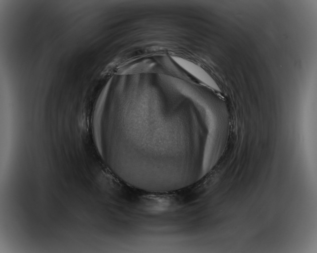 X0000086770763200705041508