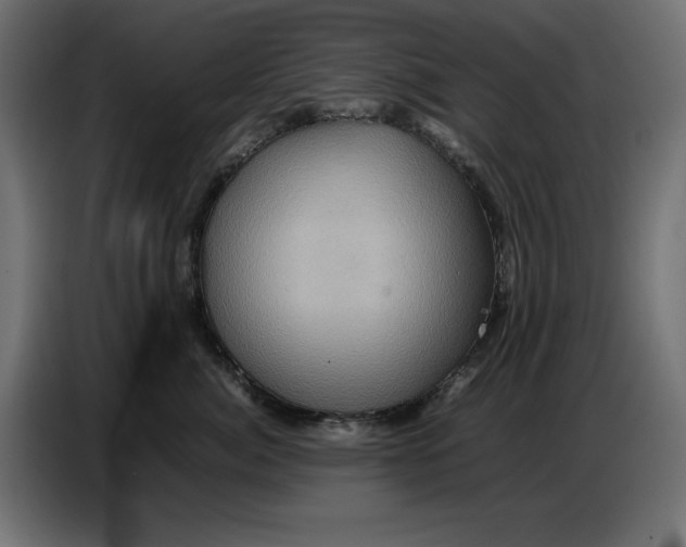 X0000086770764200705041508