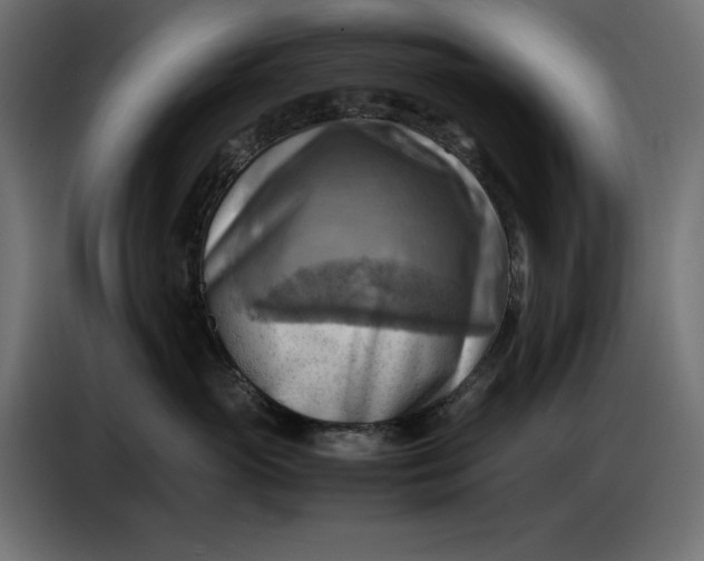 X0000086770765200705041508