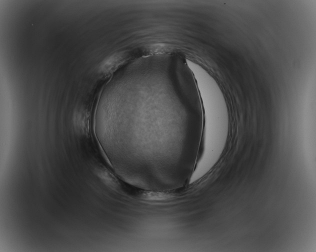 X0000086770766200705041508