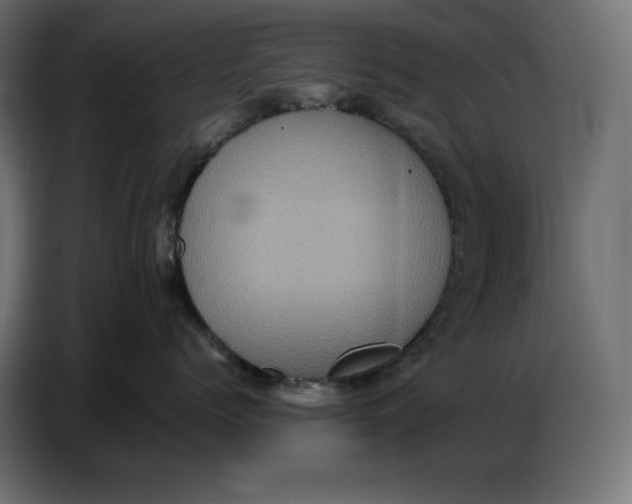 X0000086770768200705041508