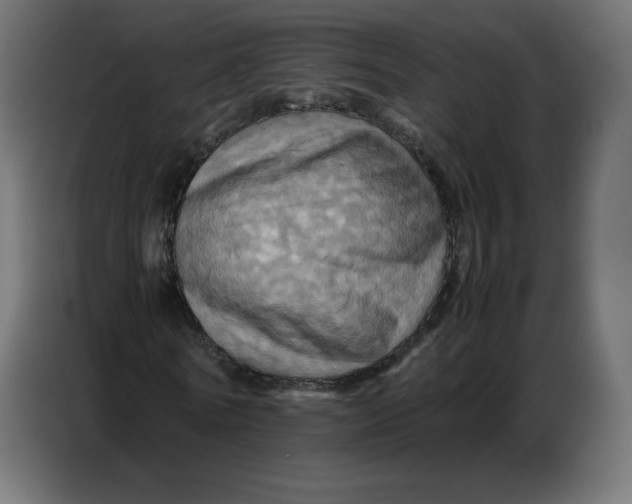 X0000086770770200705041507