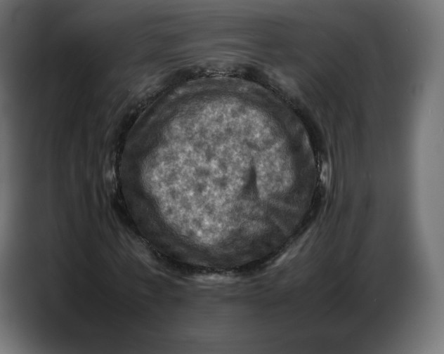 X0000086770771200705041507