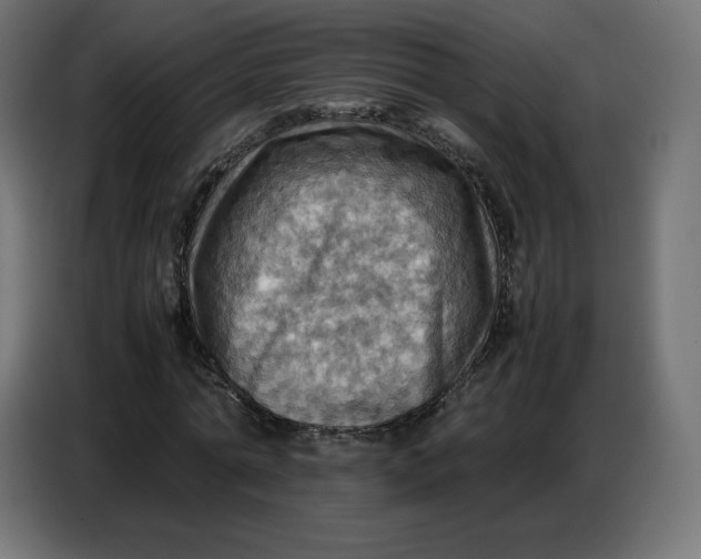 X0000086770774200705041507