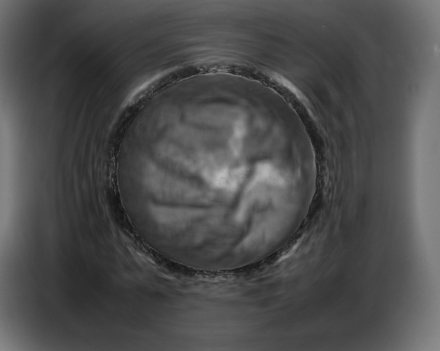 X0000086770775200705041507