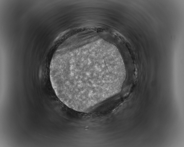 X0000086770776200705041507
