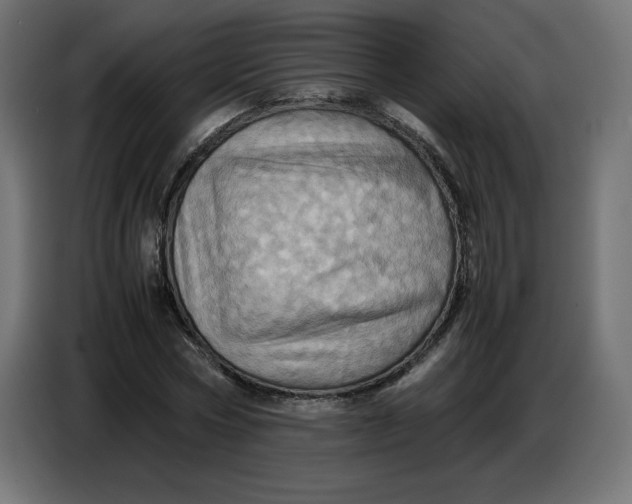X0000086770778200705041507