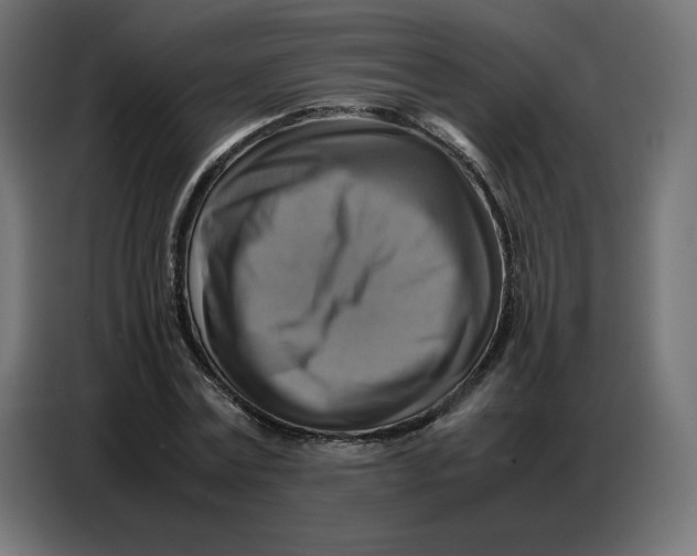 X0000086770779200705041507