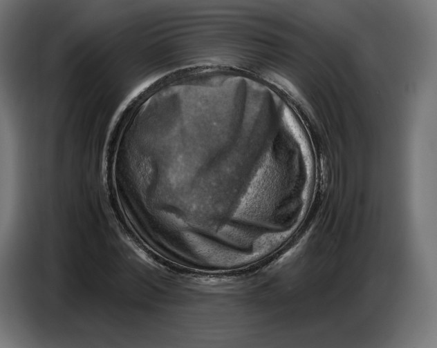 X0000086770780200705041507