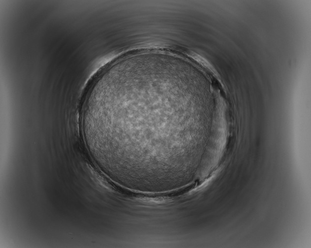 X0000086770781200705041507