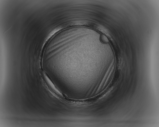 X0000086770786200705041507
