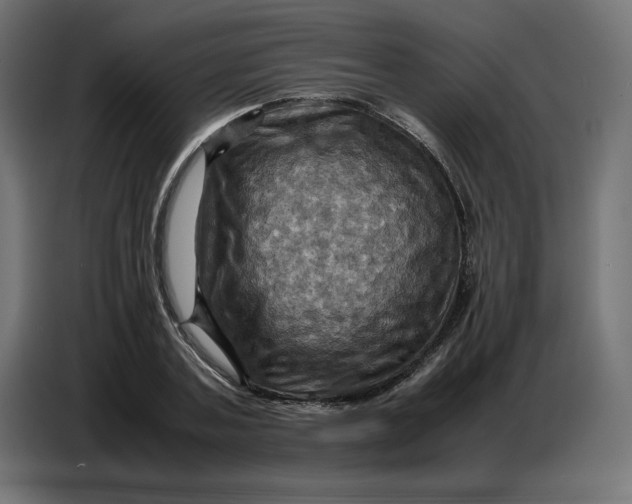 X0000086770787200705041507