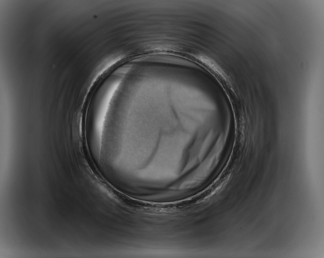 X0000086770790200705041507