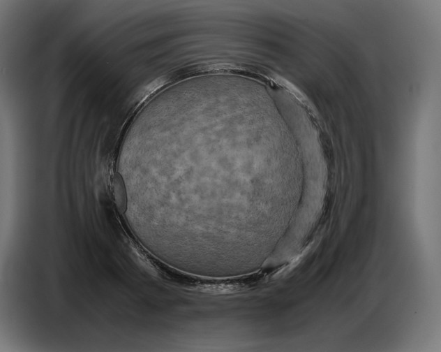 X0000086770793200705041507