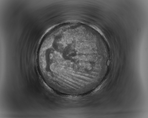 X0000086770799200705041507