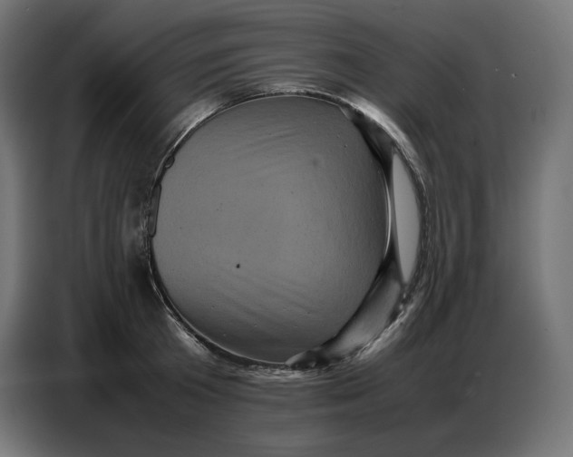 X0000086770801200705041507