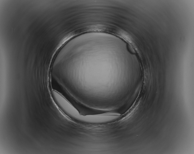 X0000086770802200705041507