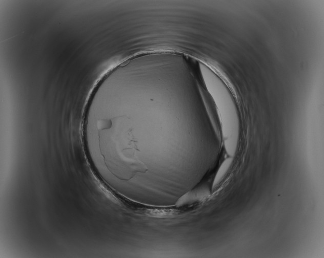 X0000086770805200705041507